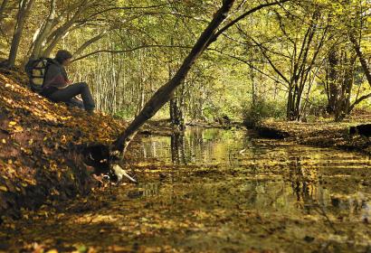 Paysage d'automne - Ruisseau Pont le Pretre