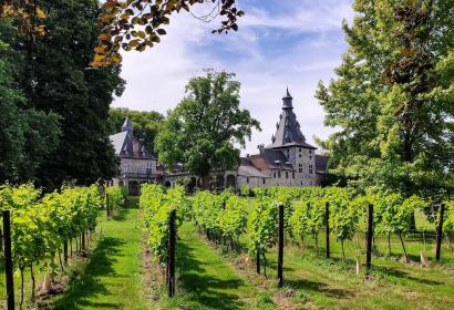 Allée de vignes menant au château