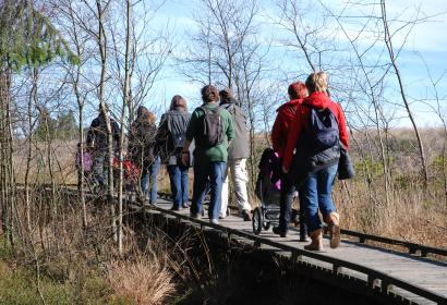 Ga wandelen in het Natuurpark van de Hoge Venen - Eifel