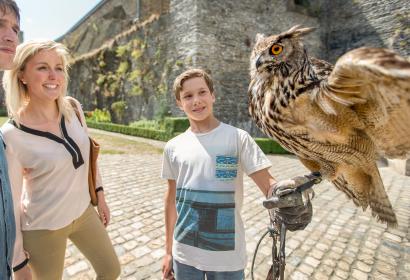 Spettacolo di falconeria alla Fortezza di Bouillon - Provincia del Lussemburgo (Vallonia)