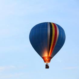 Montgoflière en plein vol