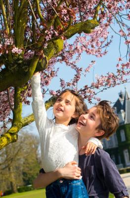 Cerisier en fleurs avec 2 enfants et château à l'arrière plan