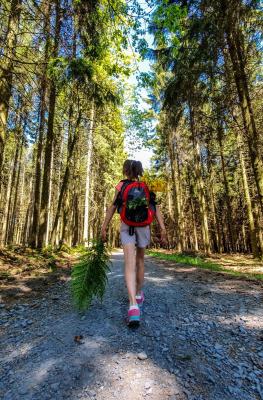 Een jong meisje loopt over een pad in een bos in de Ardennen